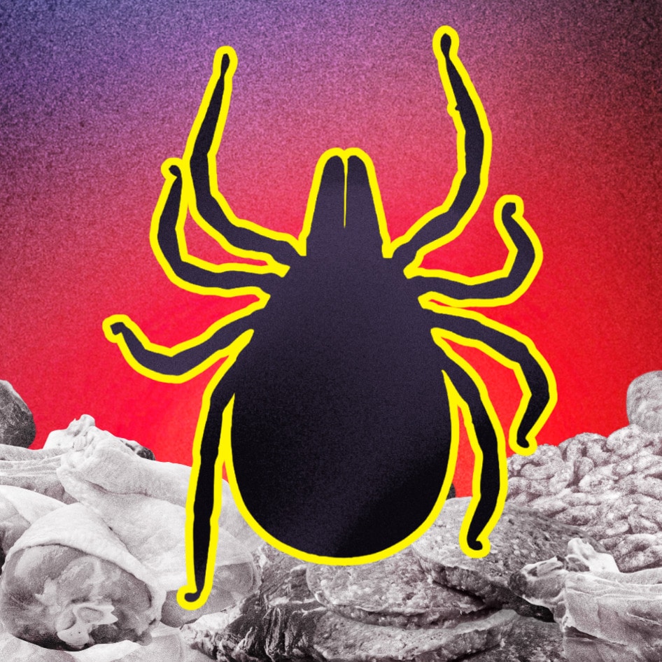 So … a Tick Just Made 500 People in Martha’s Vineyard Vegan